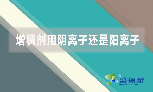 聚丙烯酰胺增稠劑用陰離子還是陽(yáng)離子的？